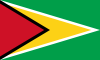 Flag of Guyana