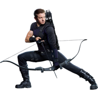 Hawkeye PNG Category