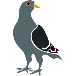 Pigeon