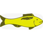 Green fish vector image