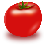 Vector Tomato