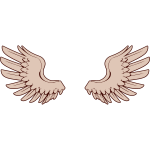 Vector image of bird wings