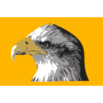 Head of a bald eagle vector drawing