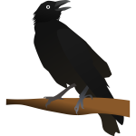 Crow 2