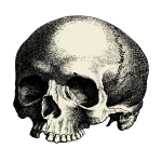 skull 2