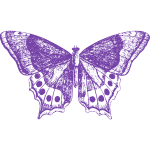 Purple Butterfly