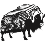 Buffalo