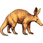 Aardvark