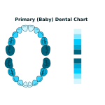 Baby teeth chart