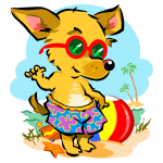 Beach Fox