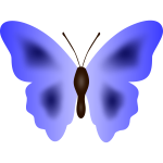 Butterfly33