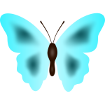 Butterfly with blue wings