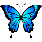 Butterfly Blue