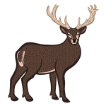 Colored deer