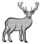 Deer from coloring book