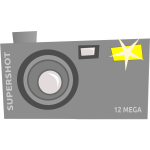 Vector drawing of fancy camera icon