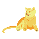 Polygonal Cat