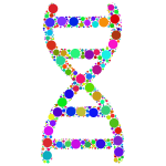 Prismatic DNA Helix Circles