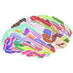 Prismatic Sketched Brain Silhouette