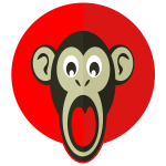 Shocked monkey