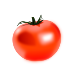 Vector drawing of shiny tomato