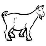 Goat with freckles black and white illustration