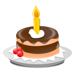 Birthday icon vector image