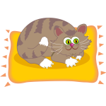 Cat on mat