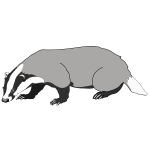 badger