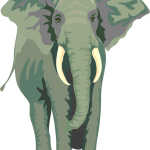 African elephant