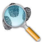 Fingerprint Search with Slight Magnification