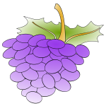 grapes 01