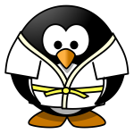 Judo penguin vector image