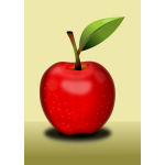 Simple red apple with leaf vector image