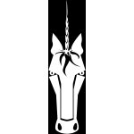 Unicorn image