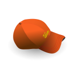 Baseball cap with text vector image