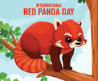 International Red Panda Day Design Concept