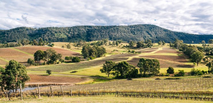 hunter valley