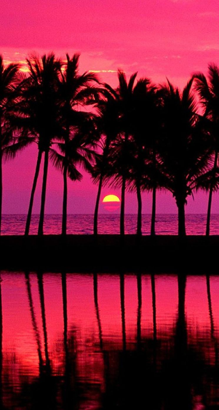 Discover more than 81 palm tree sunset wallpaper - in.cdgdbentre