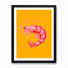 Large Shrimp Art Print