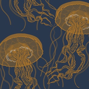 cozy jelly fish