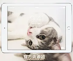 我的喵星人 猫咪专题壁纸精选合集【官方资源团】 － 资源区 － iTools论坛