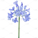 手绘-水彩花卉植物贴纸1