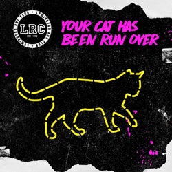 Your Cat Has Been Run Over