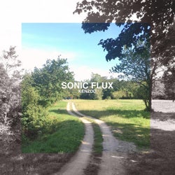 Sonic Flux