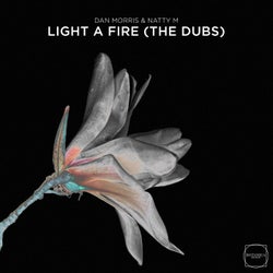 Light a Fire (The Dubs)