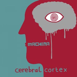 Cerebral Cortex