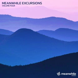 Meanwhile Excursions, Vol. 4