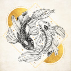 Koi