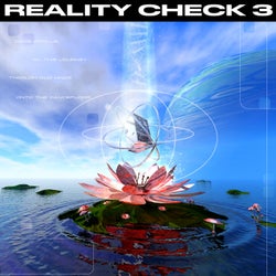 REALITY CHECK 3